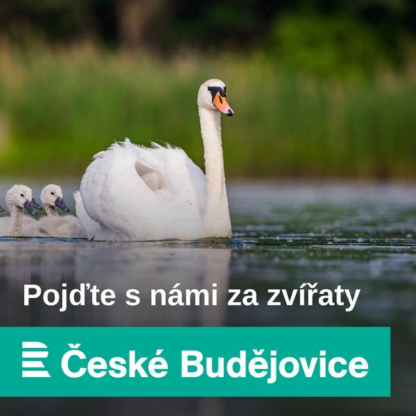Pojďte s námi za zvířaty
